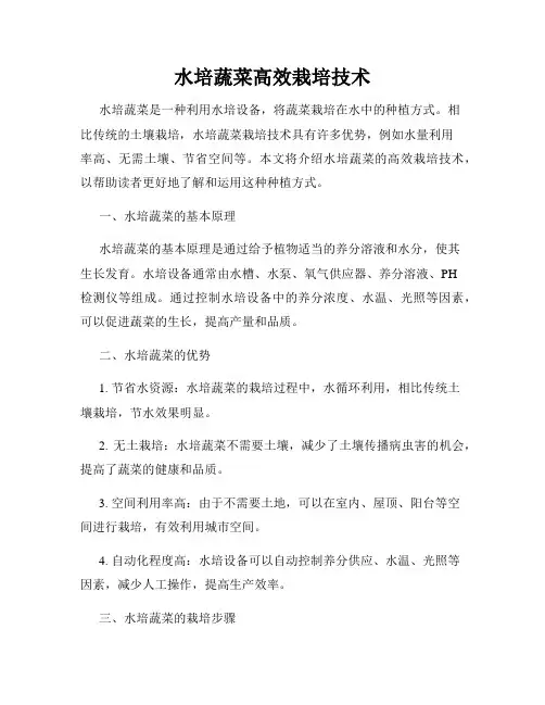 水培蔬菜高效栽培技术