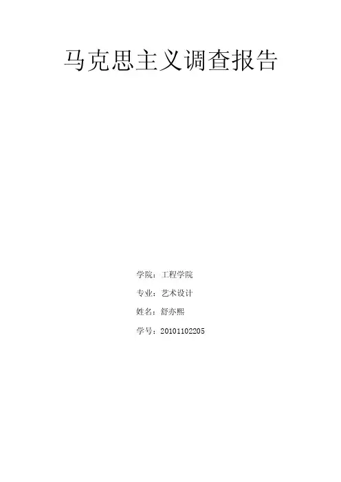马克思主义调查报告