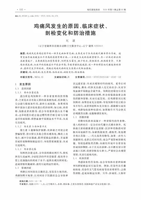 鸡痛风发生的原因、临床症状、剖检变化和防治措施