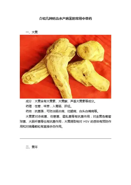 介绍几种防治水产病害的常用中草药