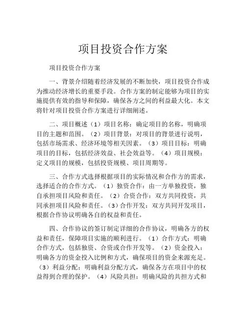 项目投资合作方案