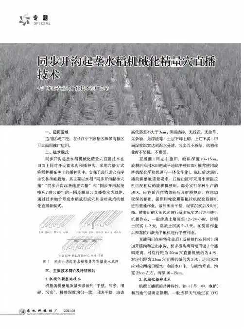 同步开沟起垄水稻机械化精量穴直播技术