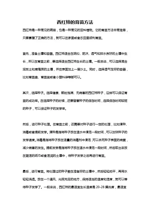 西红柿的育苗方法