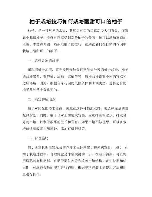 柚子栽培技巧如何栽培酸甜可口的柚子