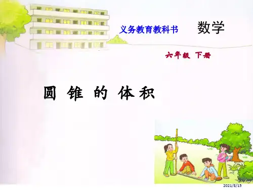 苏教版六年级下册数学圆锥的体积    (共15张PPT)