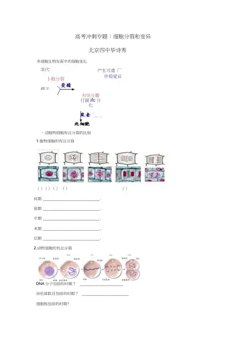 北京市第四中学高考生物总复习例题讲解：专题突破第三讲细胞分裂和变异