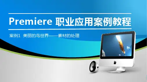 Premiere职业应用案例教程素材的处理PPT课件