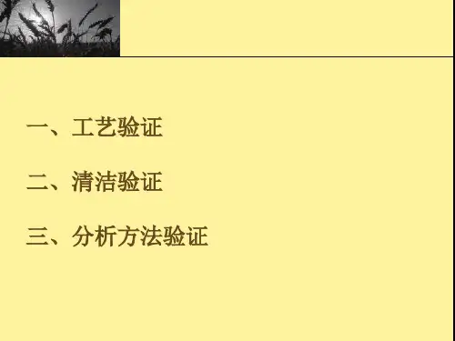 工艺验证及清洁验证检验方法(PPT76张)