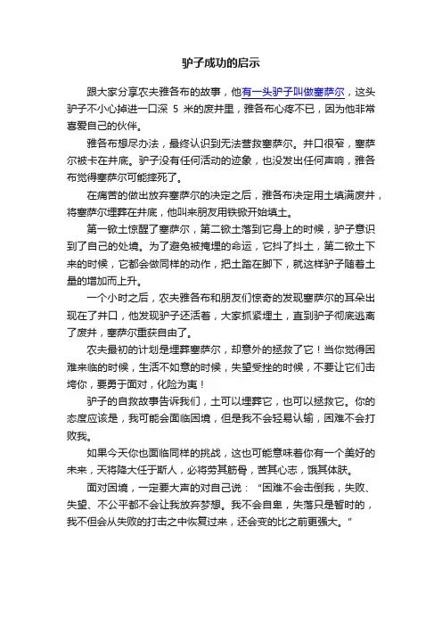 驴子成功的启示