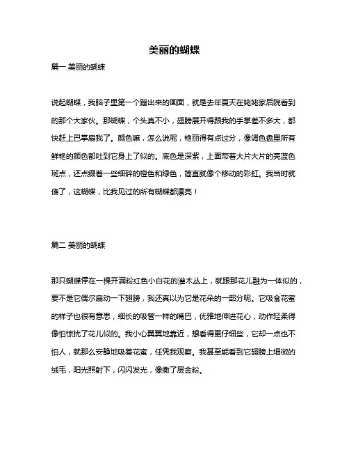 作文《美丽的蝴蝶》
