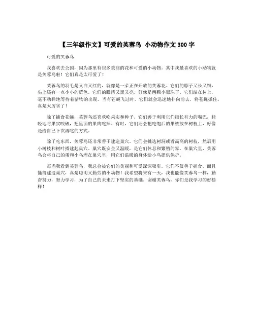 【三年级作文】可爱的芙蓉鸟 小动物作文300字