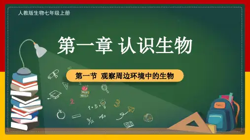 观察周边环境中的生物ppt课件