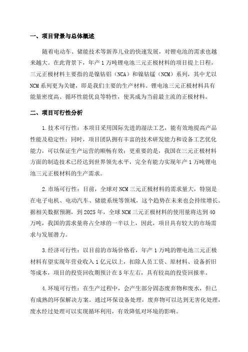 年产1万吨锂电池三元正极材料可行性报告