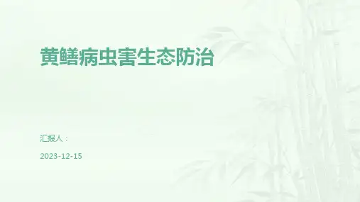 黄鳝病虫害生态防治