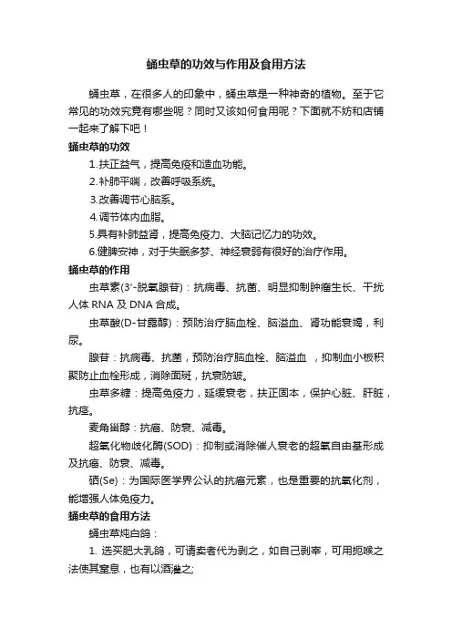 蛹虫草的功效与作用及食用方法