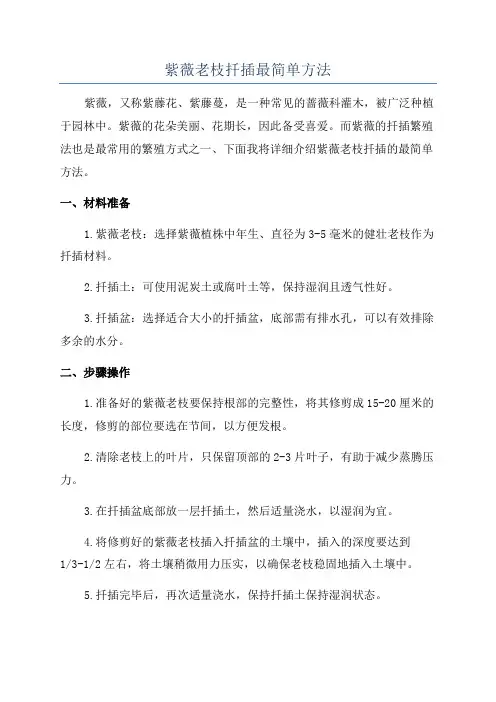 紫薇老枝扦插最简单方法