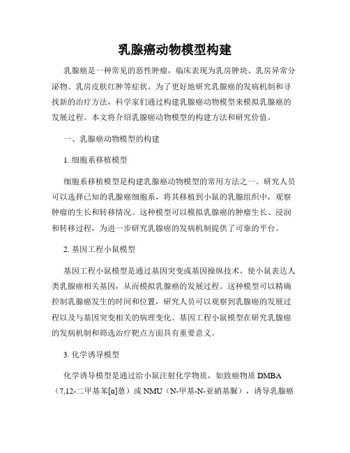 乳腺癌动物模型构建