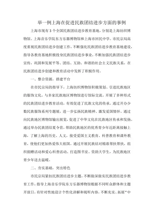 举一例上海在促进民族团结进步方面的事例