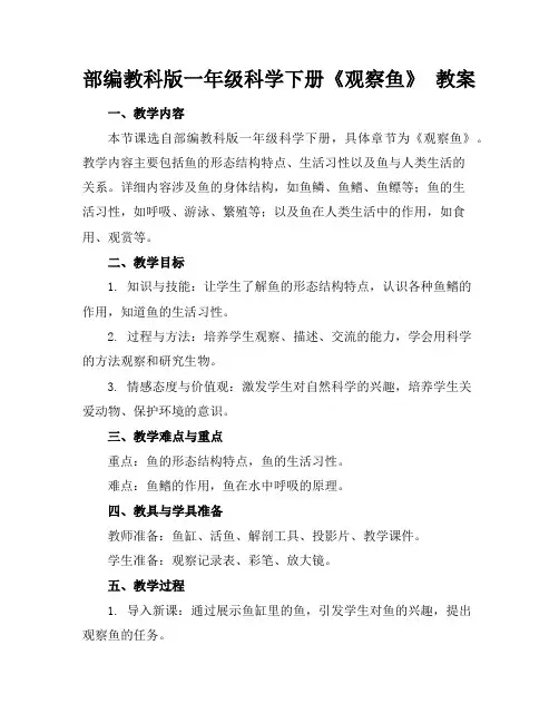 部编教科版一年级科学下册《观察鱼》教案