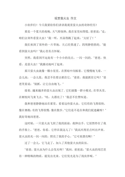 观赏萤火虫 作文