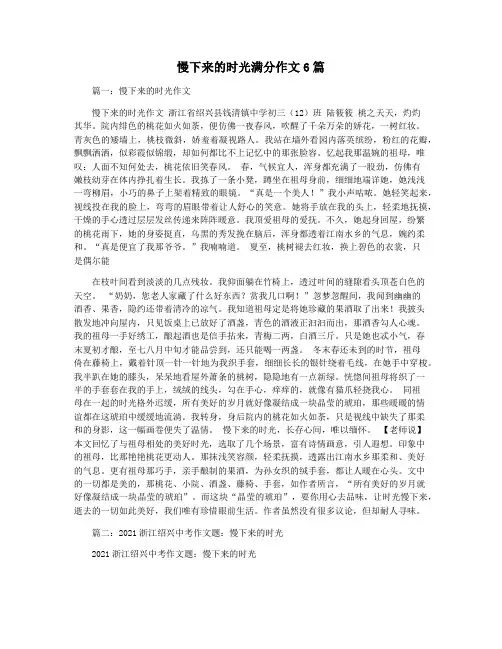 慢下来的时光满分作文6篇