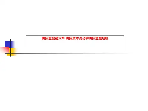 国际金融第六章 国际资本流动和国际金融危机