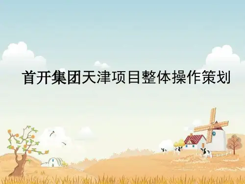 天津首开集团天津湾项目整体定位及操作策划