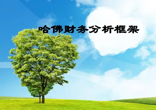 哈佛分析框架分析