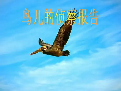语文五年级上北师大版《鸟儿的侦察报告》课件(35张)