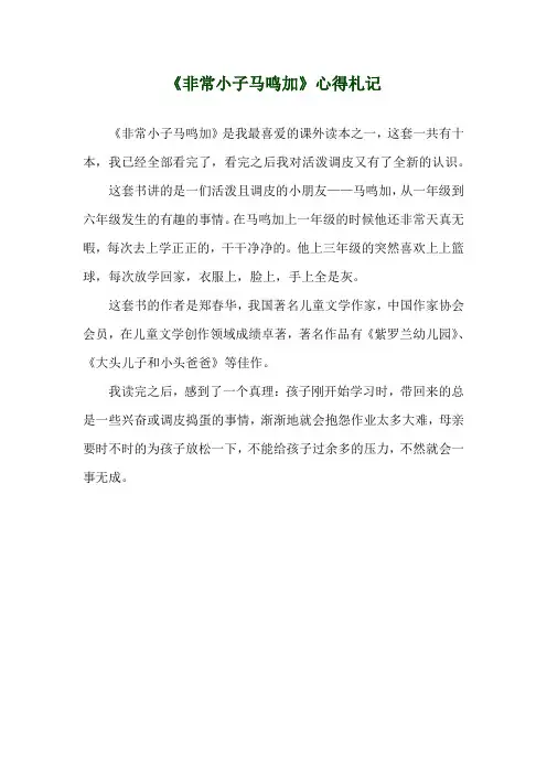 《非常小子马鸣加》心得札记