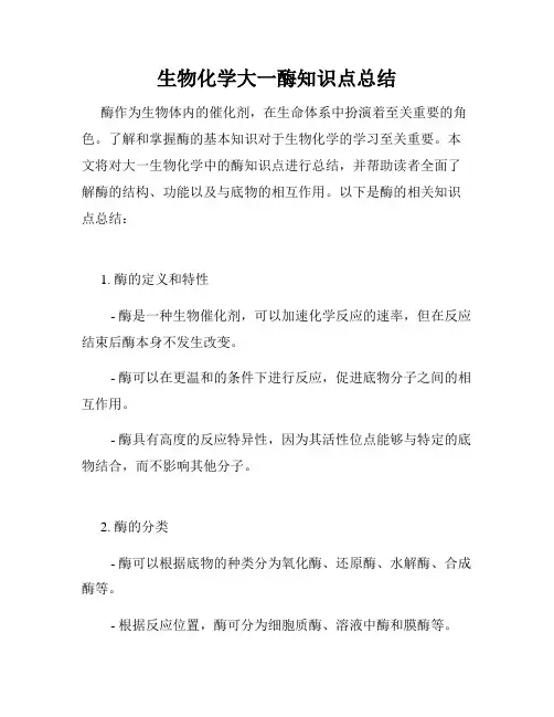 生物化学大一酶知识点总结