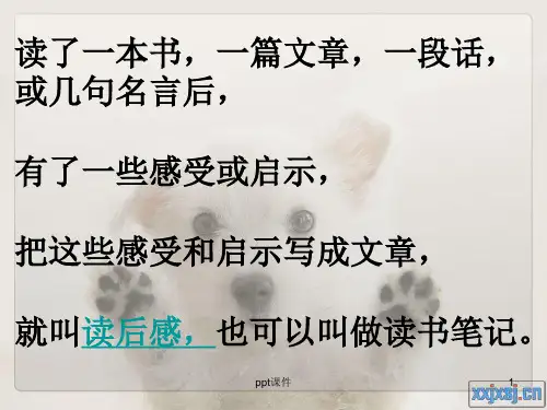 读后感的五步法诀窍  ppt课件
