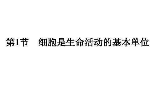 人教版高中生物必修第1册 第1章 走近细胞 第1节 细胞是生命活动的基本单位