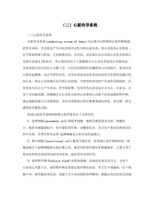 (二)心脏传导系统