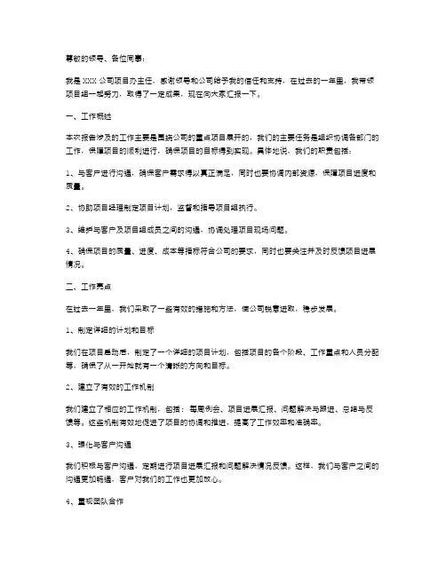 项目办主任个人述职报告