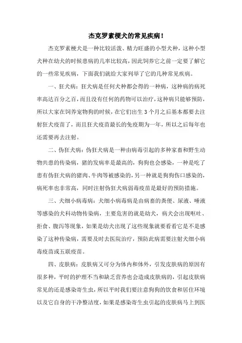 杰克罗素梗犬的常见疾病!