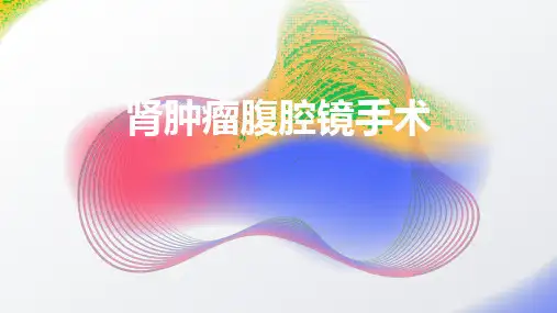 肾肿瘤腹腔镜手术课件