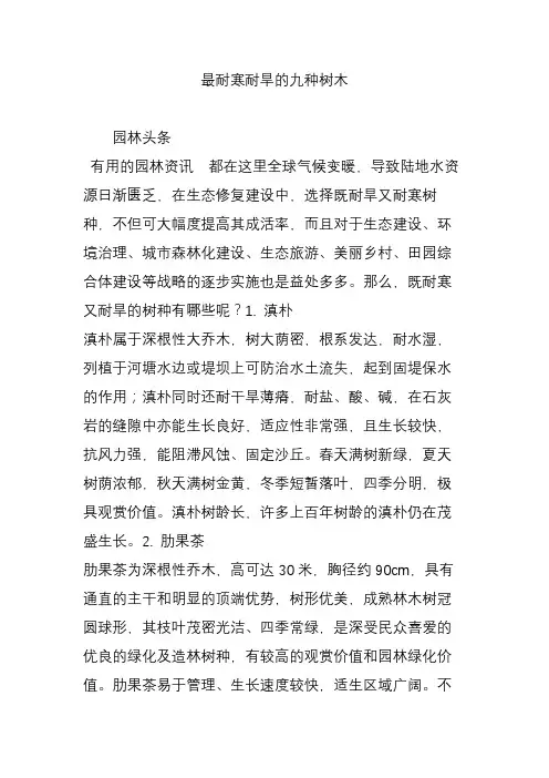 最耐寒耐旱的九种树木