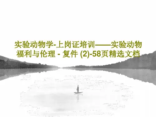 实验动物学-上岗证培训——实验动物福利与伦理 - 复件 (2)-58页精选文档PPT文档60页