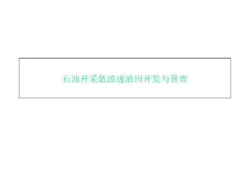 石油开采低渗透油田开发与管理