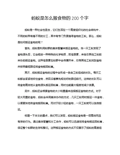 蚂蚁是怎么搬食物的200个字