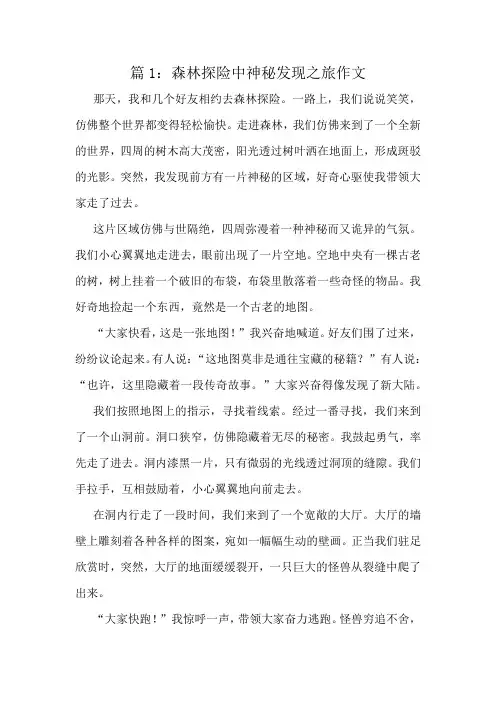 森林探险中神秘发现之旅作文精选10篇