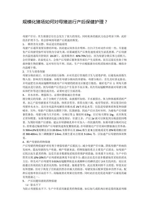 规模化猪场如何对母猪进行产后保健护理