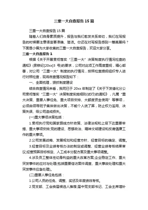 三重一大自查报告15篇