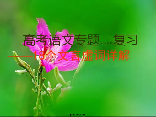 18个文言虚词优选详解(共61张PPT)