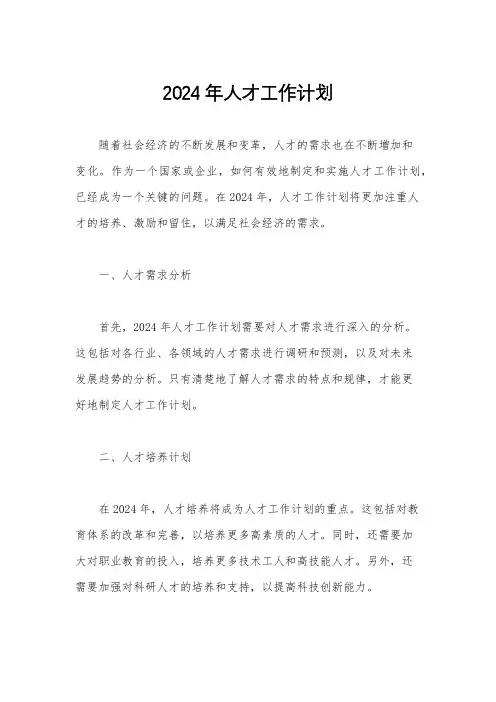 2024年人才工作计划