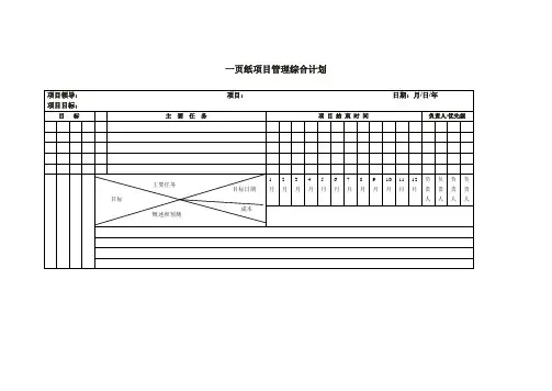 一页纸项目管理综合计划