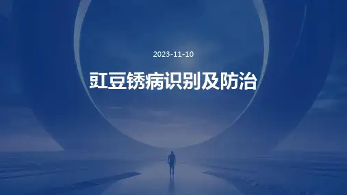 豇豆锈病识别及防治