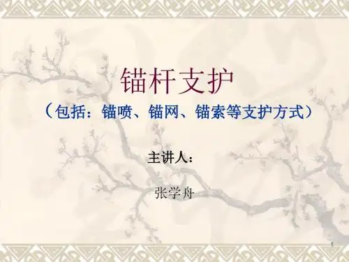 锚杆支护PPT教学课件