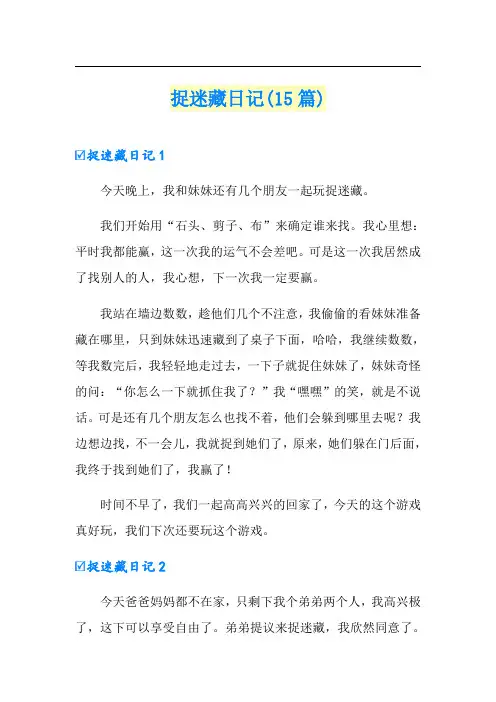 捉迷藏日记(15篇)